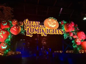 Gourds Galore at Dollywood's Great Pumpkin LumiNights 2025
