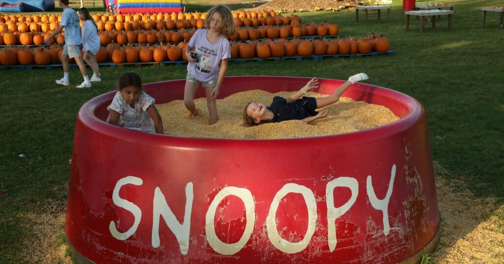How did a piece of Camp Snoopy end up at a pumpkin farm in Ham Lake?