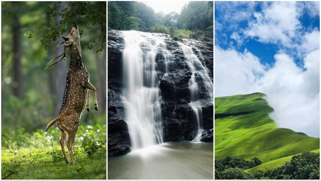 Long weekend getaways near Bengaluru: top 7 options including Wayanad, Kabini, Chikmagalur for scenic escapes