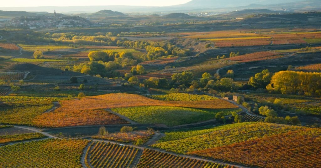 New study names Europe’s best road trip destinations for autumn