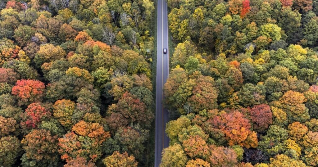 Ontario hidden gems, foodie spots, day trips we can’t miss