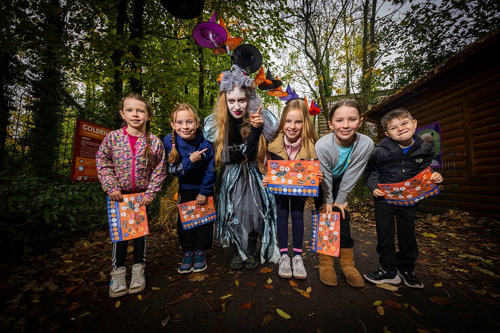 Step into Halloween magic at Emerald Park with frights, fun and treats galore!