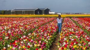 These are the 15 safest countries and cities to visit in 2026