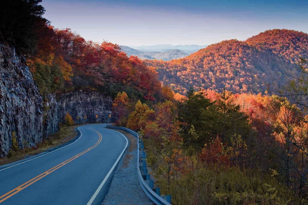 Yahoo lifestyle home