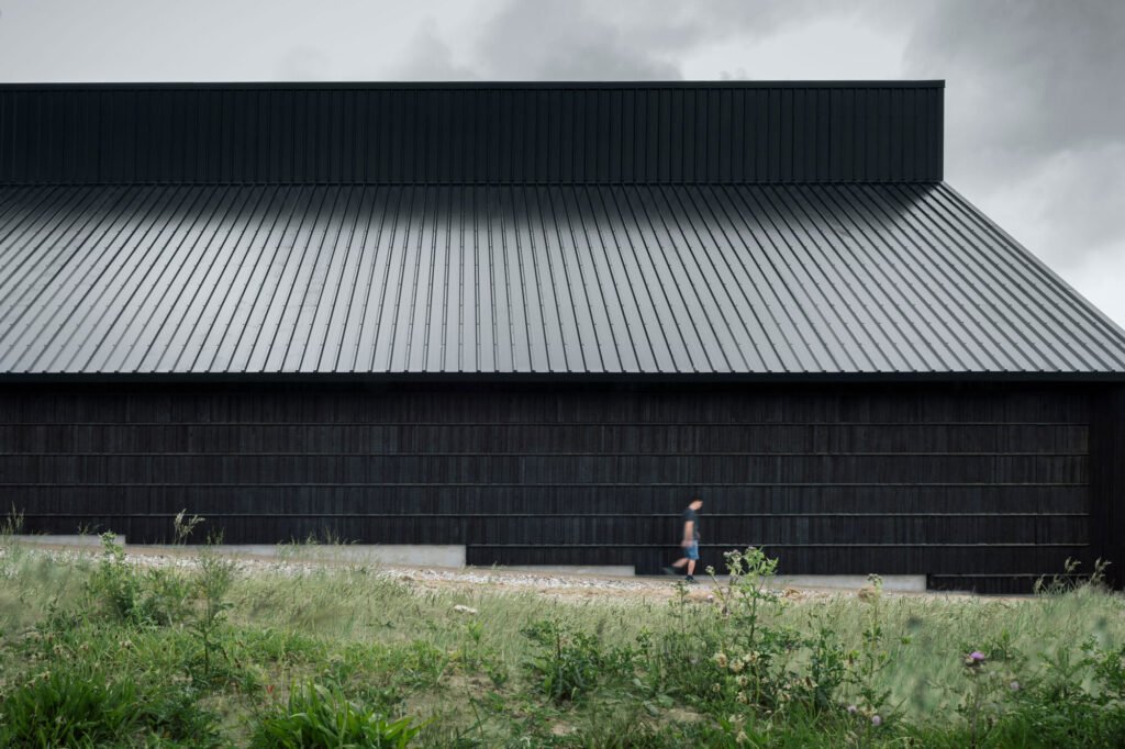 Viking Fortress Borgring Experience Center / LOOP Architects