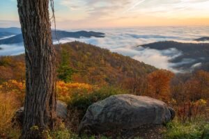 Virginia from mountains to coast: A slow road trip through peaks, islands and marshes
