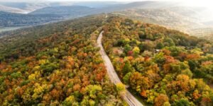 Where to Go on a Fall Foliage Road Trip in the Ozarks