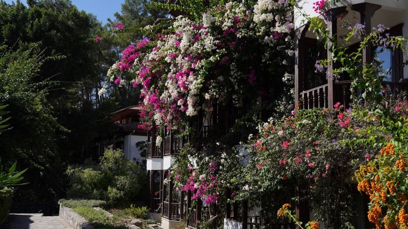 Akyaka: How a picture-perfect Mediterranean village was saved from concrete — by a poet with a plan