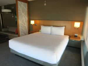 Hyatt’s Internal Owner Guide Shows Exactly What Your Loyalty Is Worth — And Why Elite Benefits Often Disappoint
