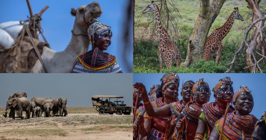 Kenya to become Africa’s tourism powerhouse targeting $100bn UK, EU travel market