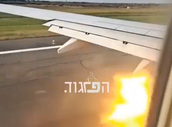 Tel Aviv-bound flight from Georgia aborts takeoff after bird strike -- report