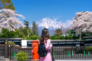 Top Countries in the World by Travelers in 2025
