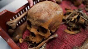 'Truly rare': Archaeologists uncover 1,700-year-old Roman tomb in Budapest