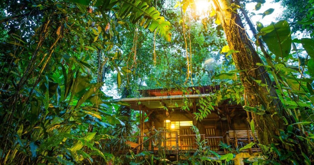 Where Americans want to travel in 2026 is ‘not so obvious,’ says Skyscanner - The Daily Gazette