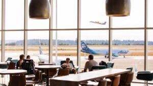 Alaska Airlines Denies Passenger Carrying Two Cats in One Carrier