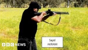 Alleged Bondi gunmen threw 'tennis ball bomb', new documents say
