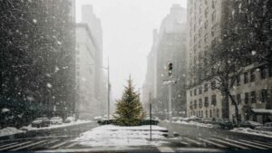 Driving during the festive season is the busiest