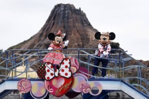 Man held on suspicion of brandishing knife at Tokyo DisneySea hotel