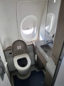 Passenger Films Flight Attendant Leaving The Lavatory — Then A Pilot Walks Out Looking Caught