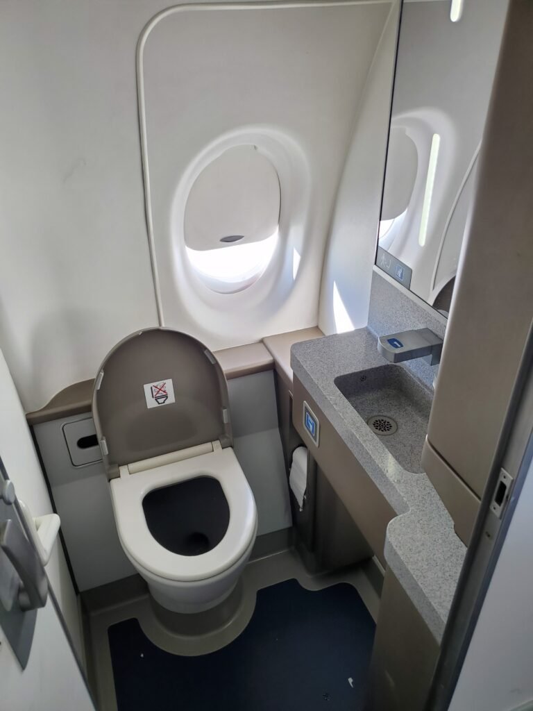 Passenger Films Flight Attendant Leaving The Lavatory — Then A Pilot Walks Out Looking Caught