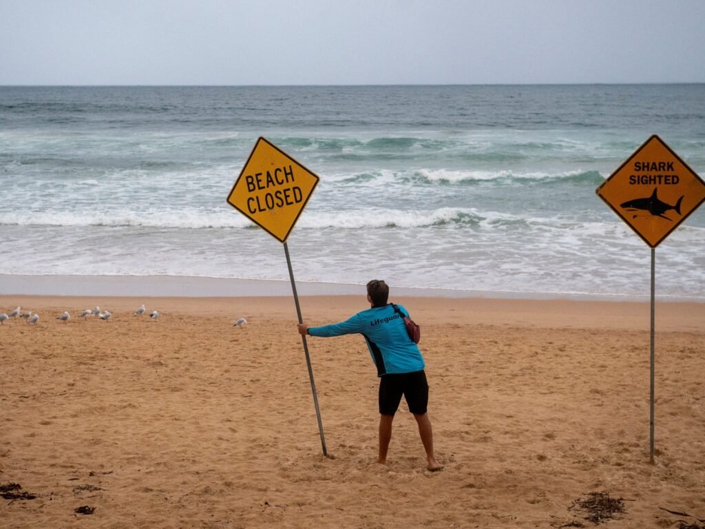 Australia closes dozens of east coast beaches after shark attacks | Wildlife News