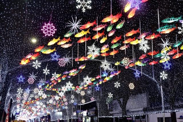 Mountain trout-shaped Korean paper lanterns and LED installations illuminate Seondeung Street in Hwacheon Gangwon Province Jan 12 2026 AJP Han Jun-gu
