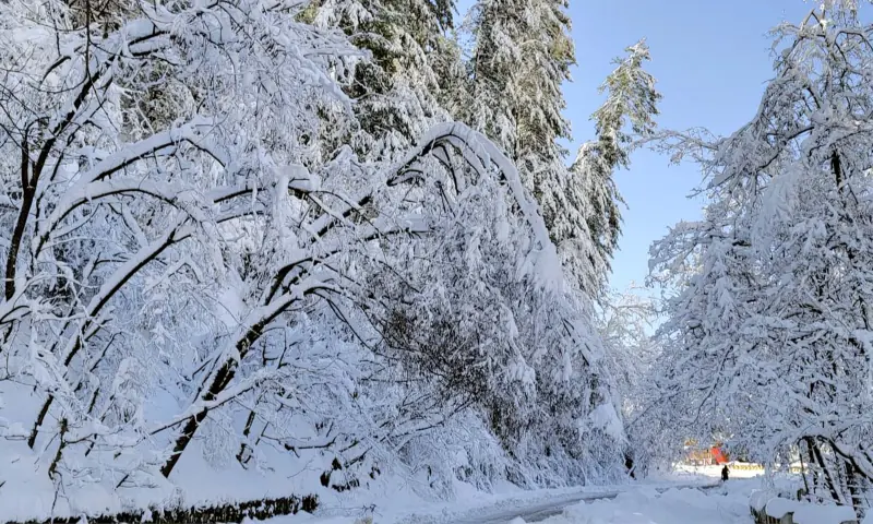 PMD warns of road closures, landslides in upper parts of country, urges tourists to remain ‘extra cautious’ - Pakistan