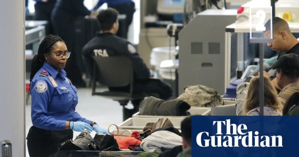 ‘Stop hiding animals’: TSA lists unusual objects people tried to sneak on planes | US news