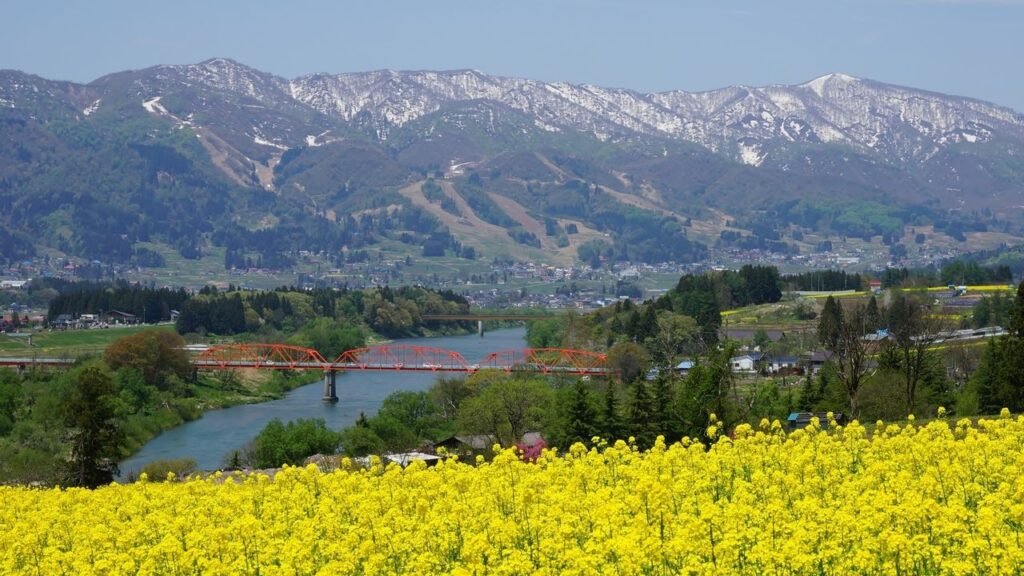 A Sense of Spring: Japan’s Top Flower Spots Ranked