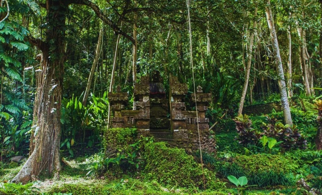 Archaeologists Just Unearthed A 5,000 Year Old Fortress Hiding Deep In The Forest Of Romania