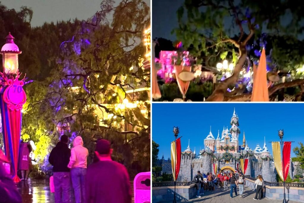 Couple claims a tree fell on them at Disneyland