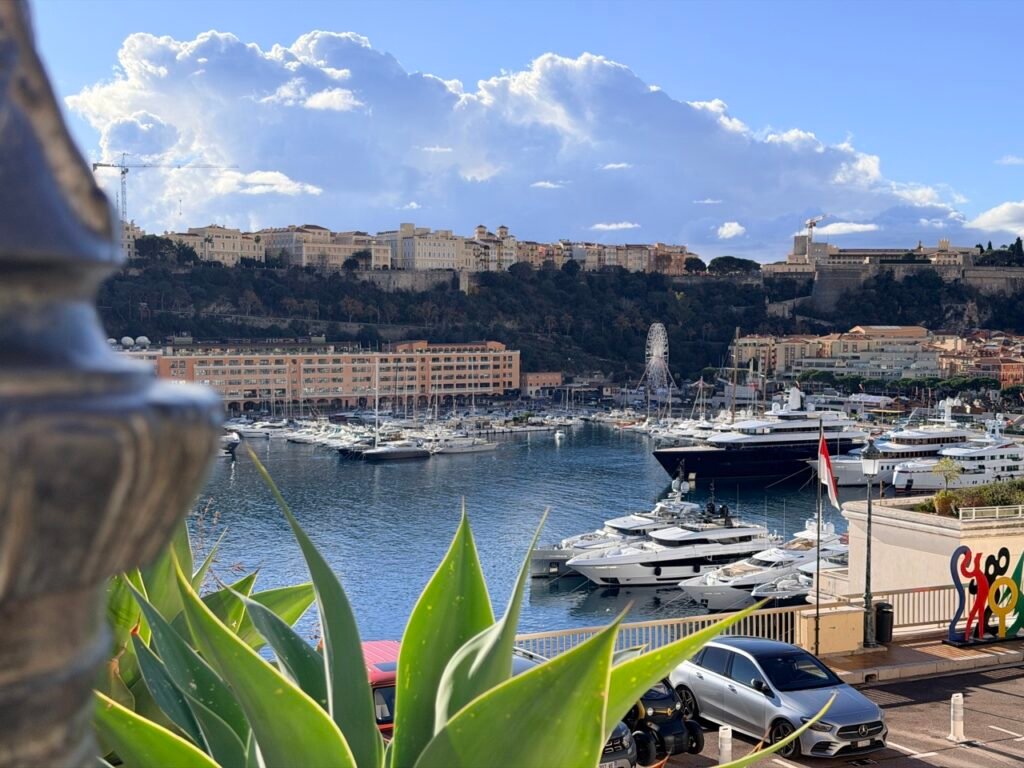 Monte Carlo Monaco marina view