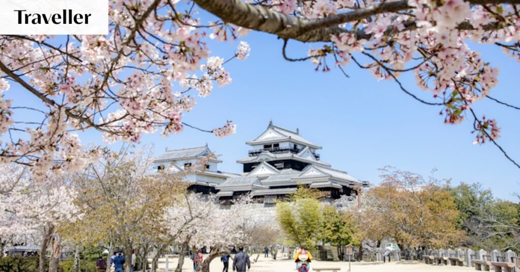 Ehime Prefecture, the “citrus kingdom” that inspired Spirited Away