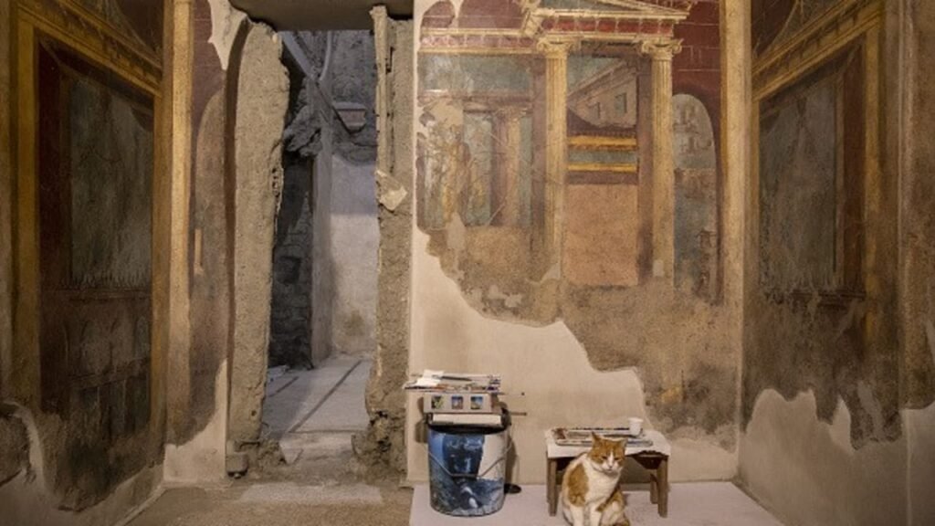 The Jerusalem Post - Israel News