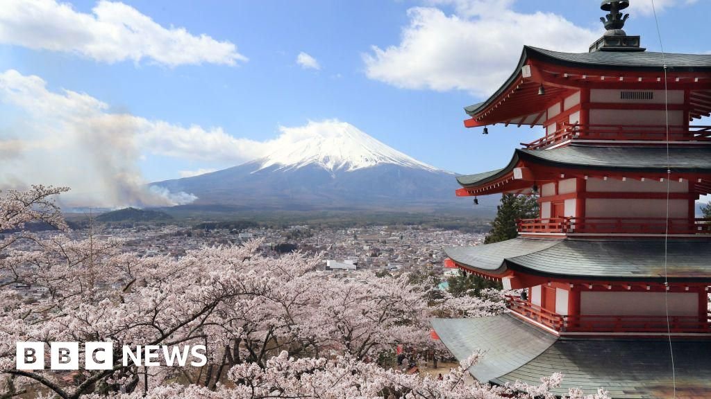 Japan cherry blossom festival cancelled over badly behaved tourists - BBC