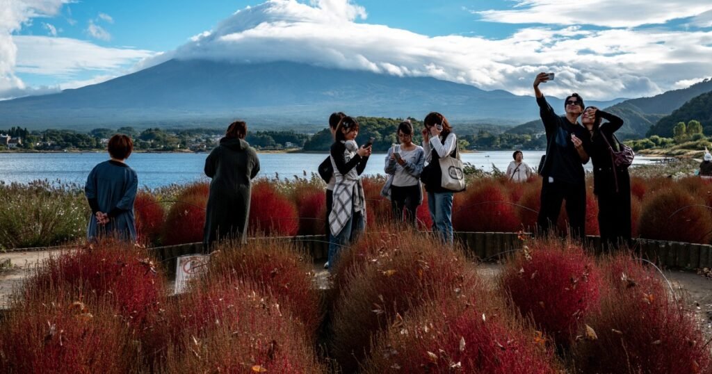 Japan tourist arrivals mark first fall in four years as Chinese visitors stay away
