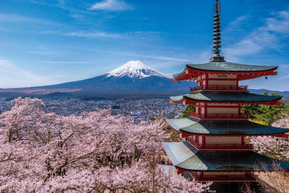 Subscribe Placeholder