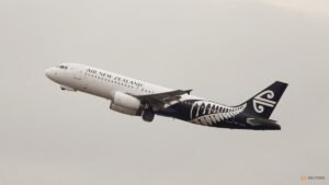 Airlines start broader fare hikes on fuel price surge, shares stabilise