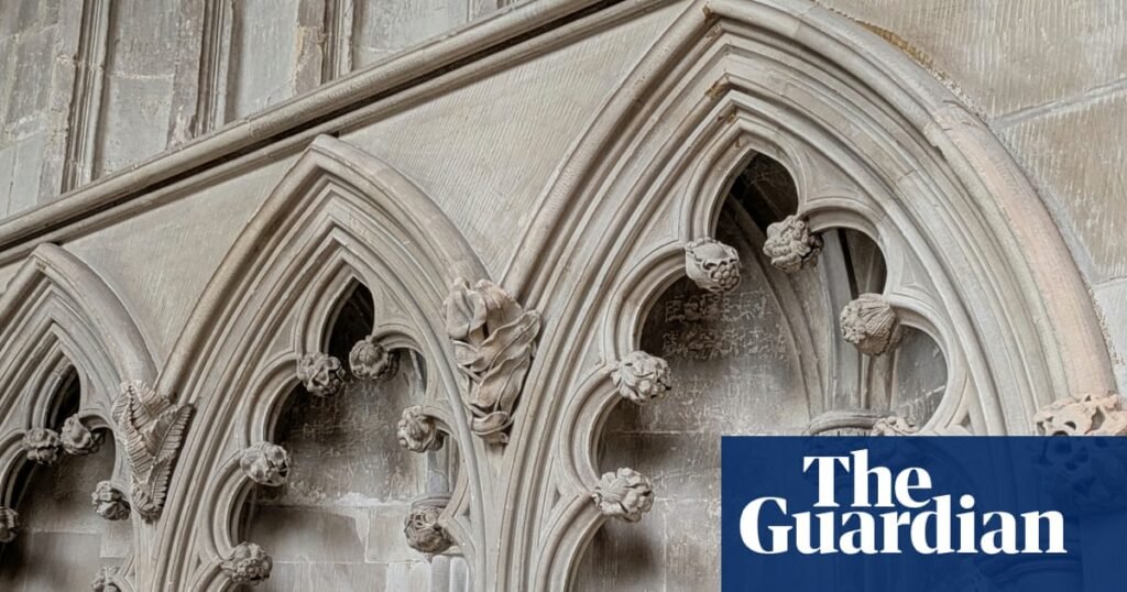 Country diary: Orchids, plums and pine cones – all bursting out of cathedral walls | Heritage