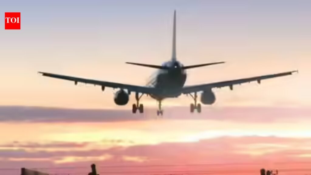 Govt may review bilaterals as international airfares defy gravity | India News