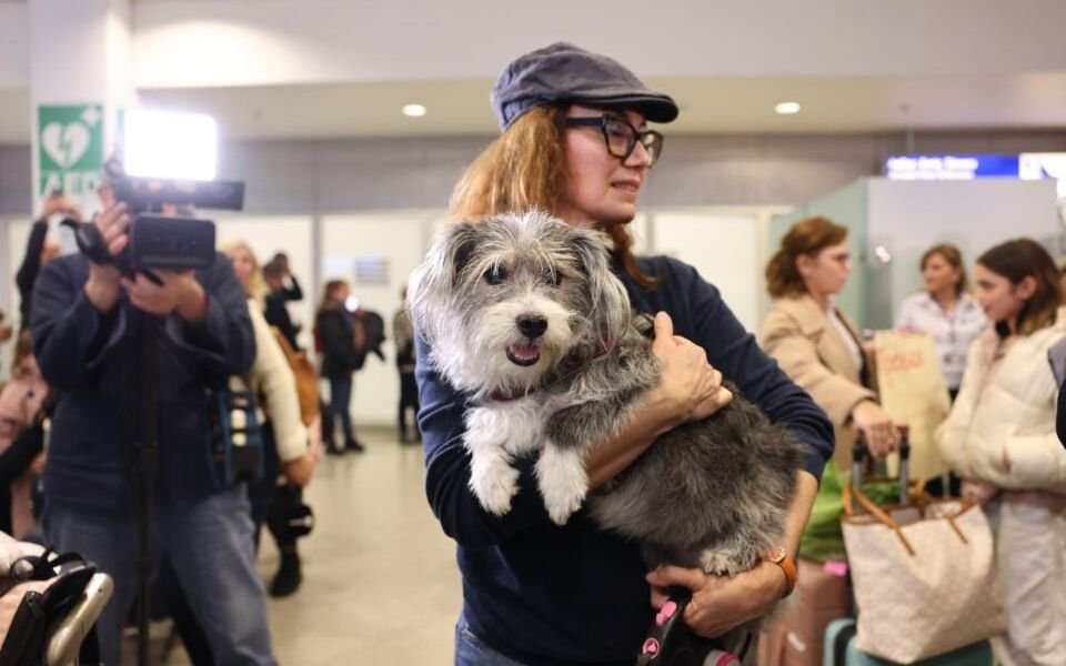 Gulf repatriation flight with scores of pets arrives in Athens