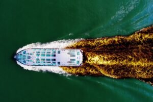 Luxury Cruise Descends Into a Diarrhea Nightmare