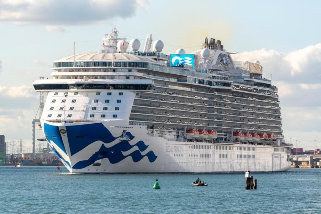 Regal Princess cruise ship abruptly changes course to rescue people in distressed boat