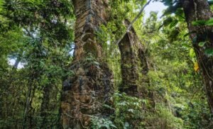Researchers Discovered A Previously Unknown Fortress Hidden In The Landscape