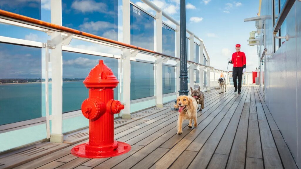 The cruise ship that lets dogs cross the Atlantic with you