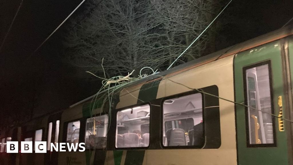 West Midlands rail disruption cleared after tree hit power lines - BBC