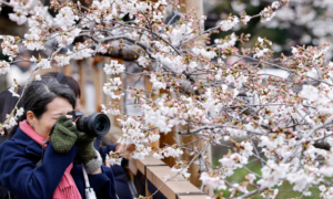 Asian country named world's most polite destination for tourists