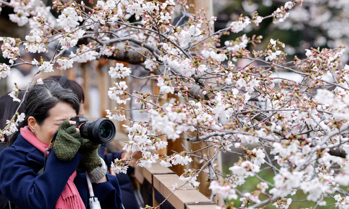 Asian country named world's most polite destination for tourists