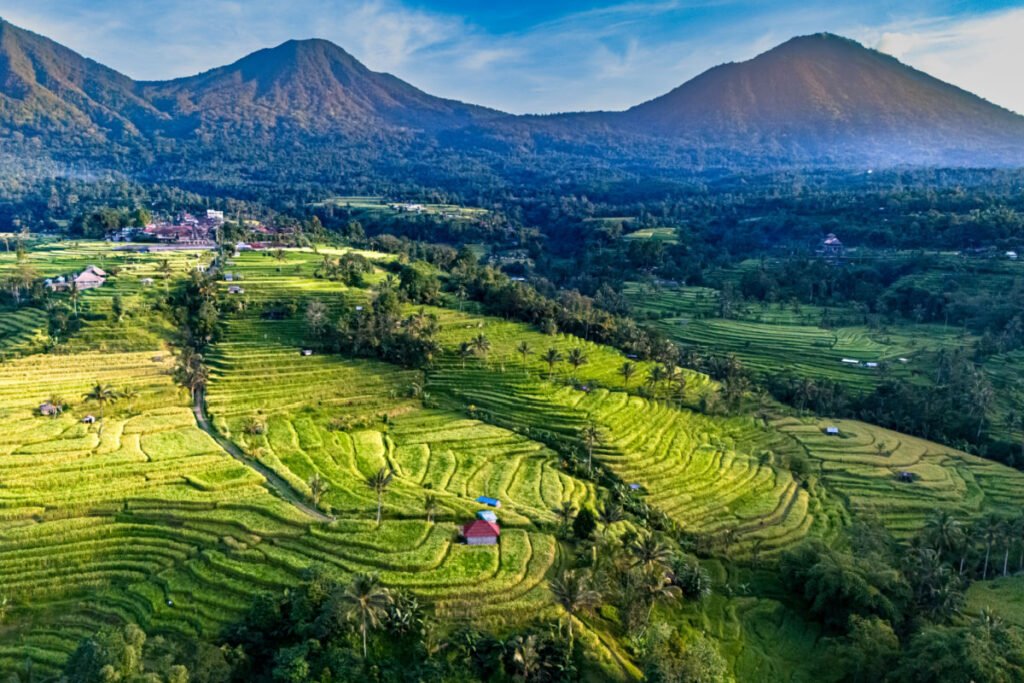 Bali To Introduce Legal Changes To Improve Tourist&rsquo;s Experience On Vacation