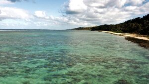 Cruise ship carrying 30 guests runs aground on reef